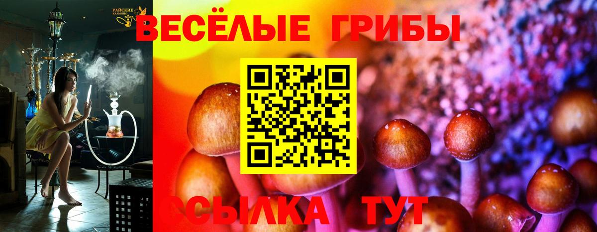 Галлюциногенные грибы GOLDEN TEACHER Железногорск