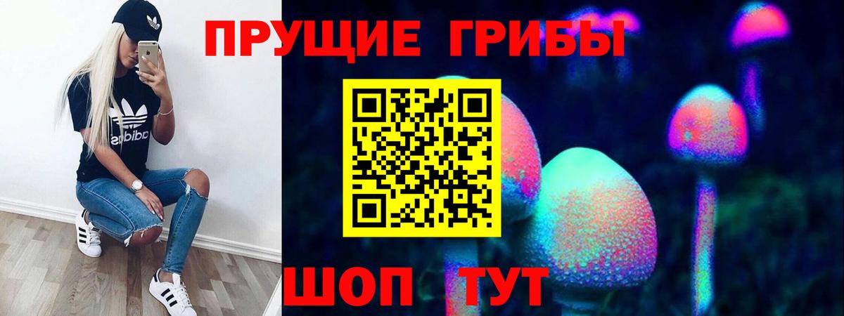 Псилоцибиновые грибы Cubensis  Вход с VPN  магазин  наркотиков  Железногорск 