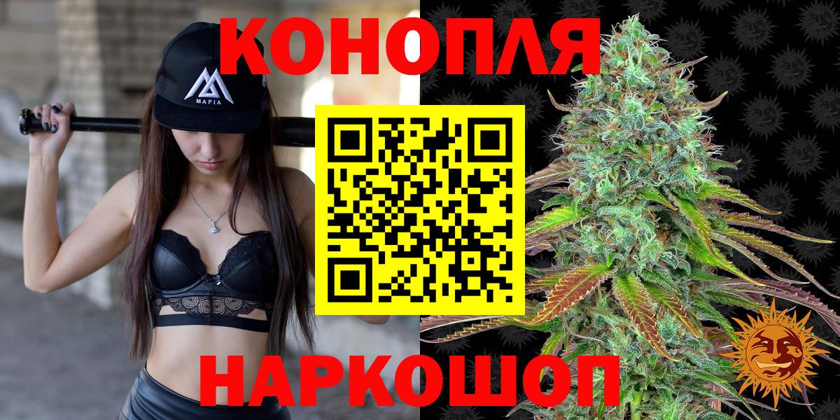 МАРИХУАНА сатива Железногорск